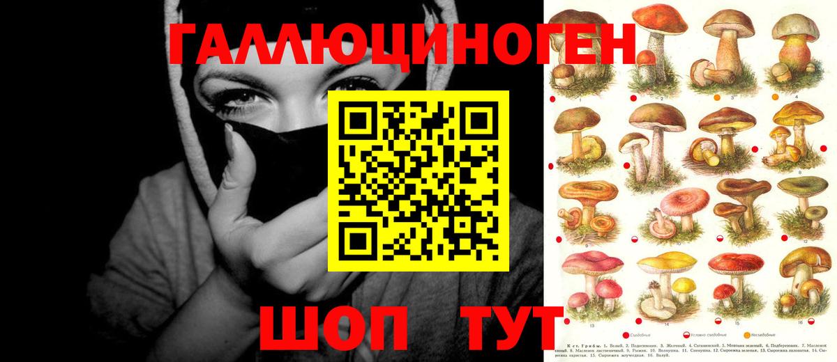 Псилоцибиновые грибы Magic Shrooms  Вход с VPN  Дивногорск 