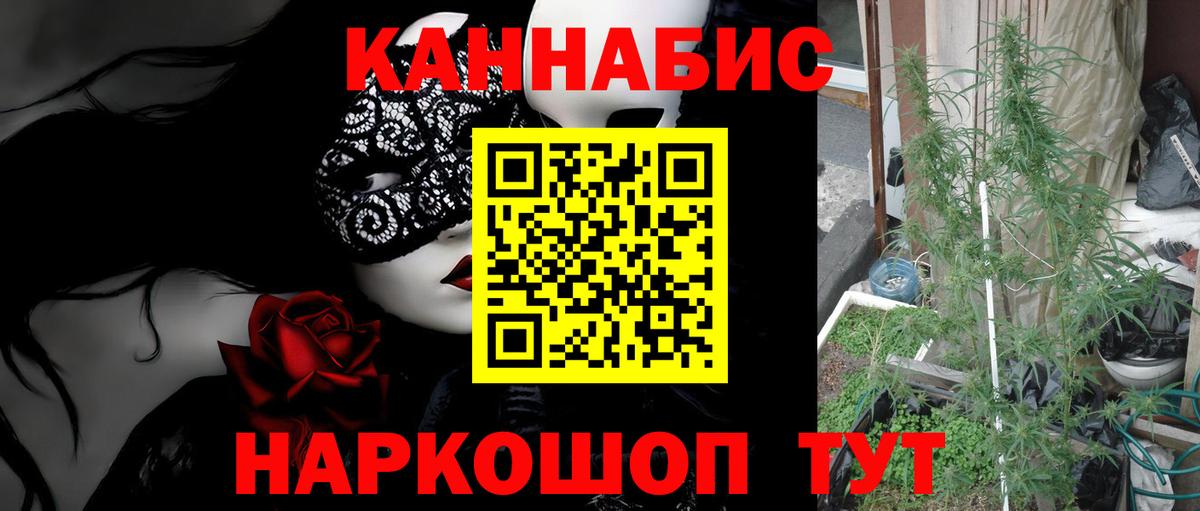Шишки марихуана ГИДРОПОН Дивногорск